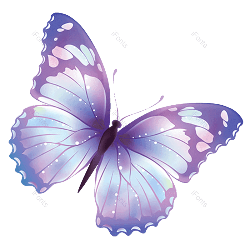 蝴蝶图片,彩色元素,动物PNG,矢量元素免抠素材